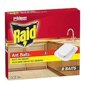 Raid Max Ant Bait